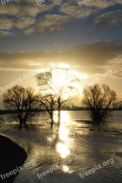 Water High Water Flood Trees Sky