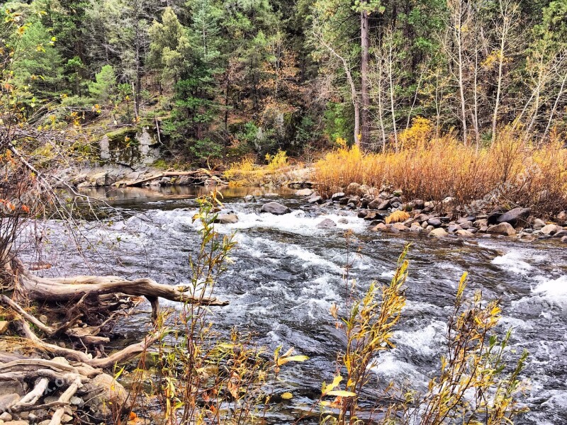 Yosemite River Forest Park National