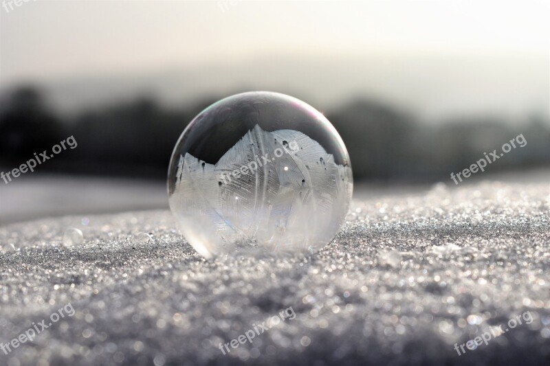 Soap Bubbles Frozen Frost Frozen Bubble Eiskristalle