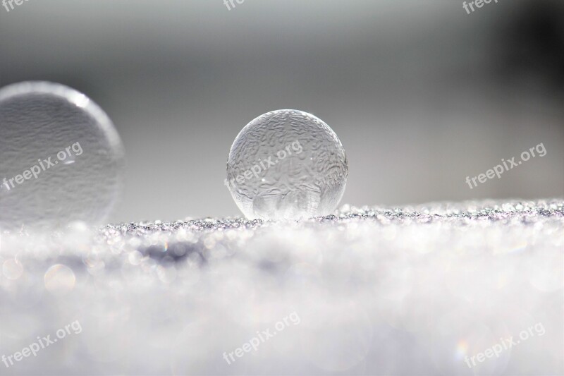 Soap Bubbles Frozen Frost Frozen Bubble Eiskristalle