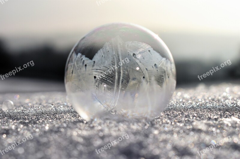 Soap Bubbles Frozen Frost Frozen Bubble Eiskristalle