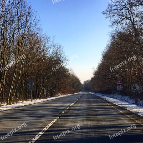 Winter Road Forest Nature Snowy Road