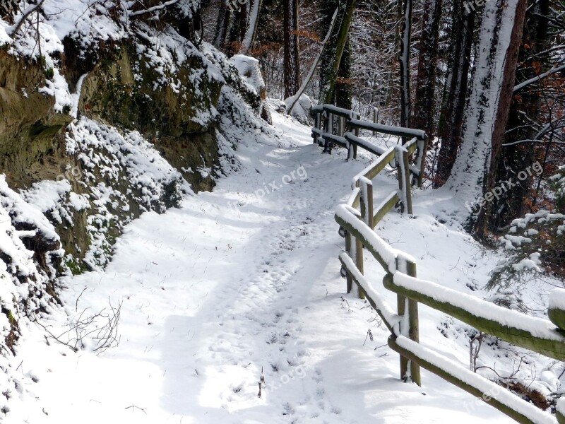 Winter Snow Winter Landscape Nature Trees