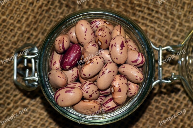 Beans Quail Beans Legumes Healthy Food