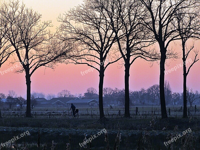 Cyclist Silhouette Freezing Sunrise Trees