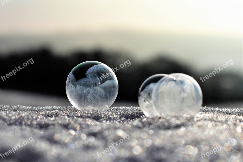 Soap Bubbles Frozen Frost Frozen Bubble Eiskristalle