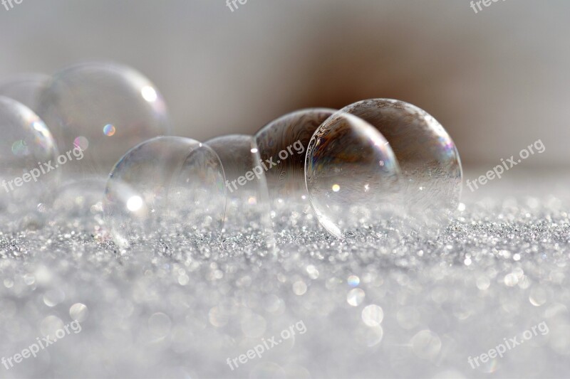 Soap Bubbles Frozen Frost Frozen Bubble Eiskristalle