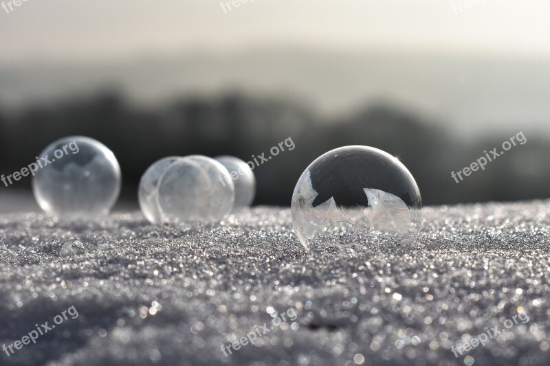 Soap Bubbles Frozen Frost Frozen Bubble Eiskristalle