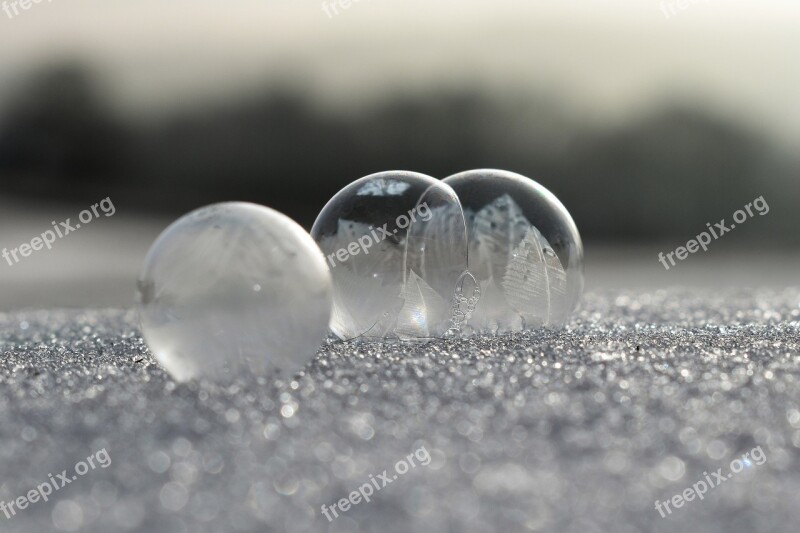 Soap Bubbles Frozen Frost Frozen Bubble Eiskristalle