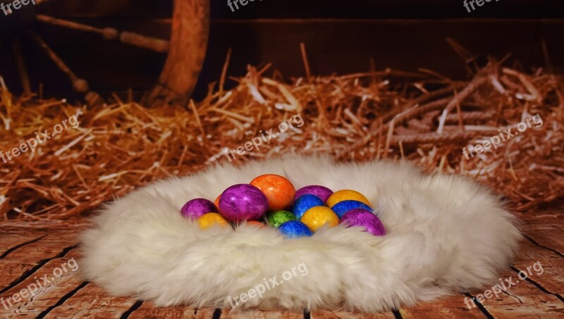 Easter Colorful Eggs Stall Hay Lambskin