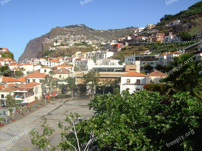 City Funchal Madeira Portugal Island