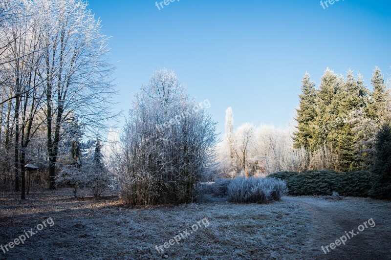 Arboretum Winter Garden Nature Tree