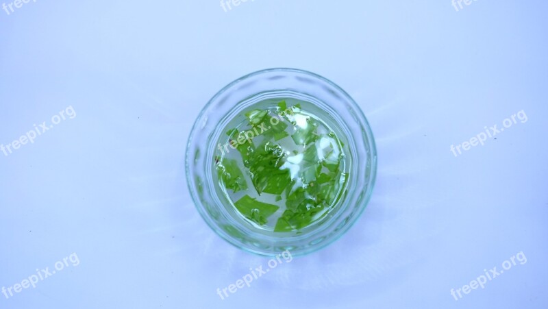 Aloe Vera Herbal Potion Free Photos