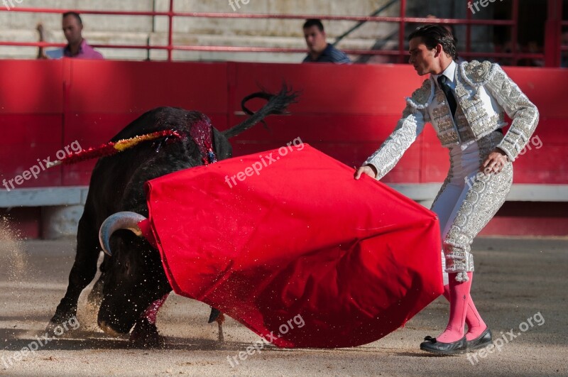 Bullfight Bulls Arenas Beaucaire Toreador