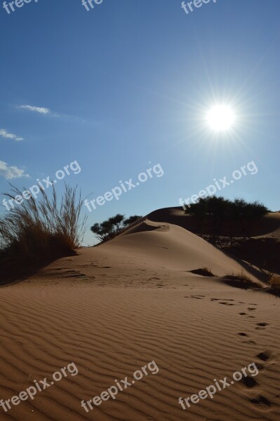 Desert Tracks In The Sand Africa Sand Trace