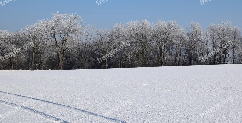 Wintry Iced Winter Mood Icy Trees Free Photos