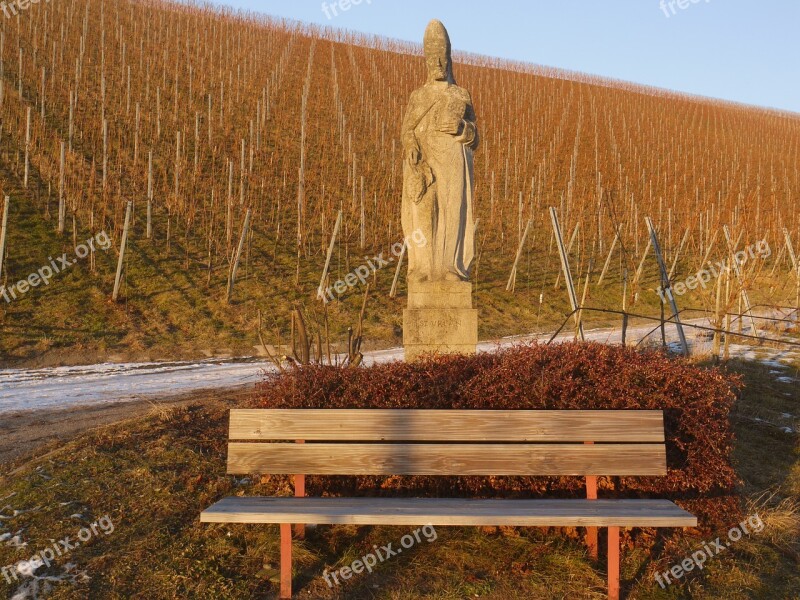 Saint Urban Patron Saint Vineyard Winter