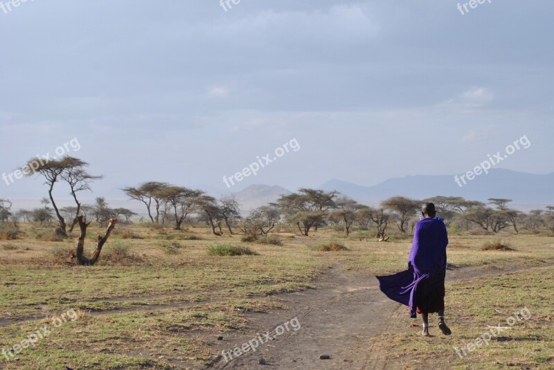 Serengeti Massai Africa Steppe National Park