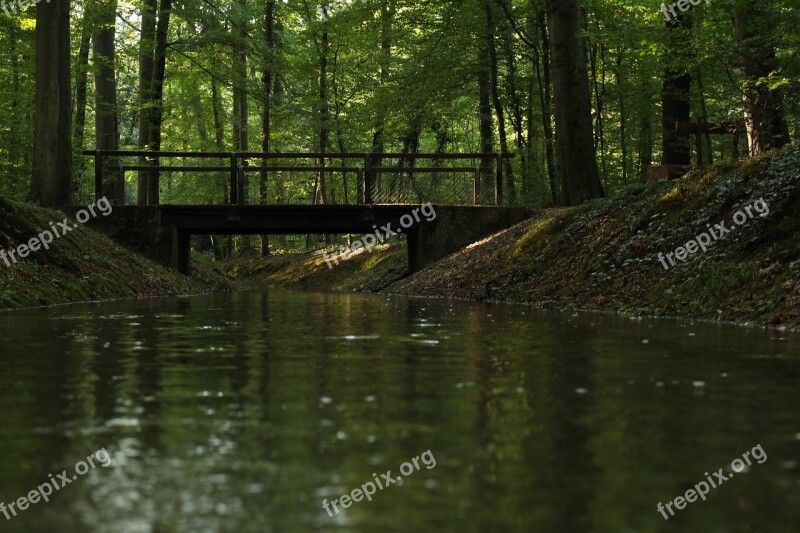 River Switzerland Bach Bank Nature