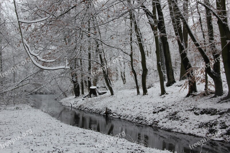 Winter Snow Wintry Nature Cold