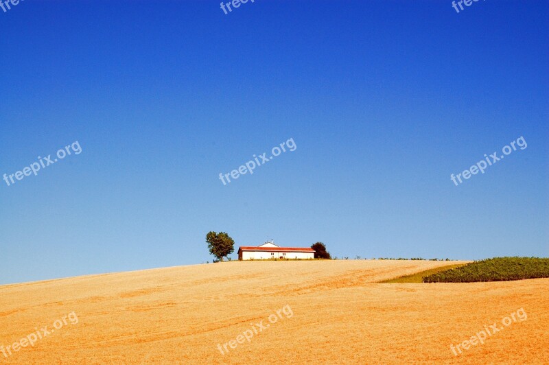 Campaign Wheat Agriculture Field Summer