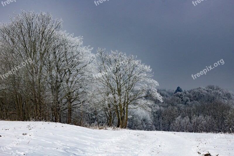 Frost Hoarfrost Winter Cold Clear