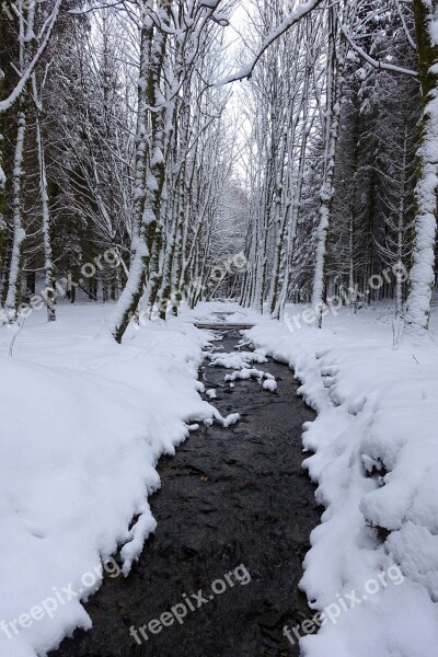 Snow White Winter Landscape Landscape Snow Snowy Trees