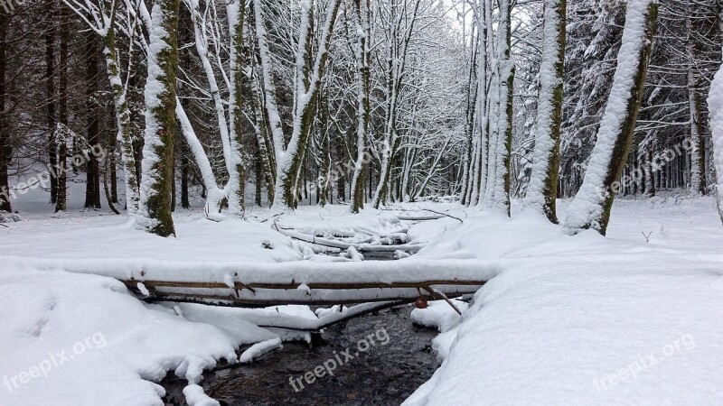 Snow White Winter Landscape Landscape Snow Snowy Trees