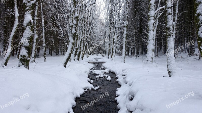 Snow White Winter Landscape Landscape Snow Snowy Trees