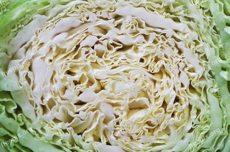 Cabbage Chinese Vegetables Salad Free Photos