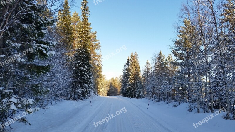 Winter Winter Landscapes Snow Line Of Vision Country Road