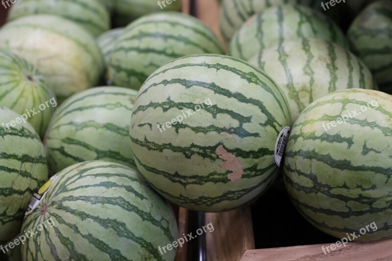 Watermelon Fruit Melon Free Photos