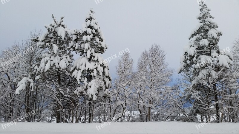 Winter Winter Landscapes Landscape Photography Scandinavia Nordic