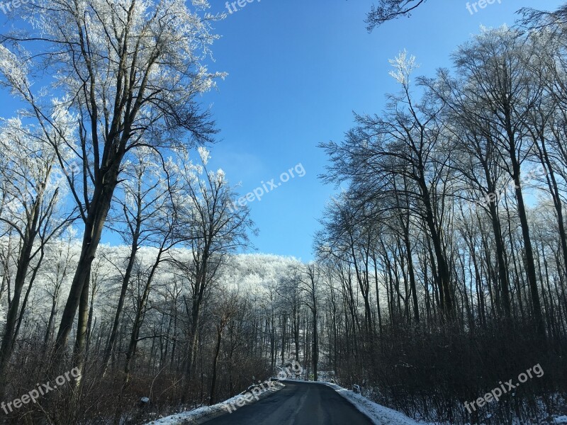 Winter Highway Road Conditions Weather Forest