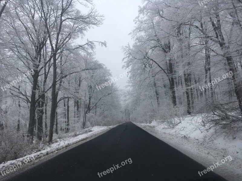 Winter Highway Road Conditions Weather Forest