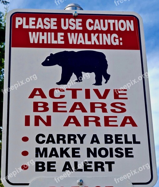 Symbol Warning Sign Bear Icon