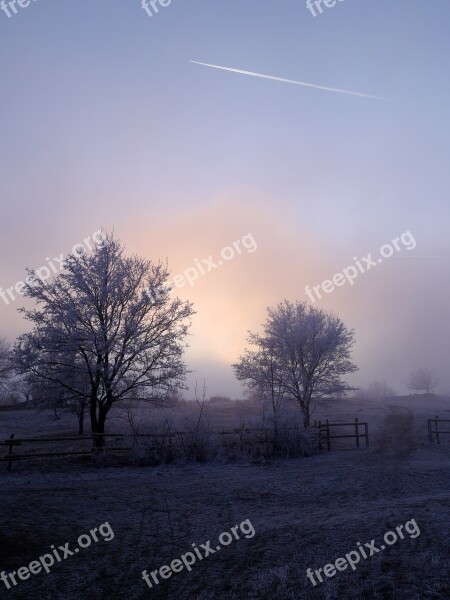 Winter The Sky Trees Icing Snow