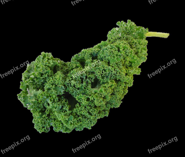 Kale Green Kale Vegetable Fresh Free Photos