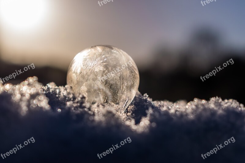 Soap Bubble Soapbubble Winter Cold Milky