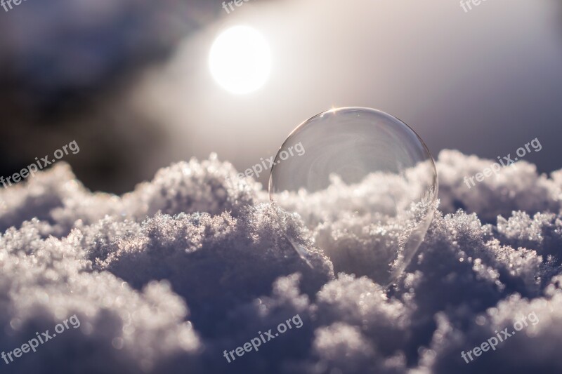 Soap Bubble Snow Frozen Ice Cold