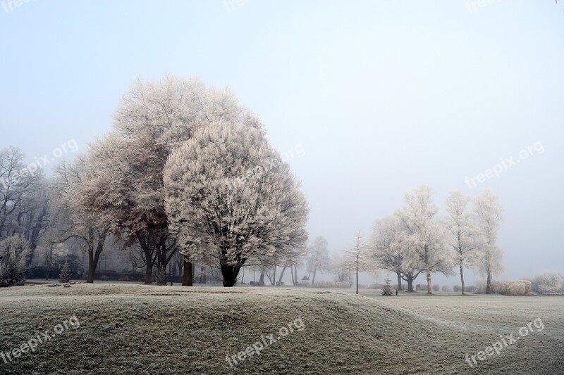 Bad Zwischenahn Lake Kurpark Trees Frost