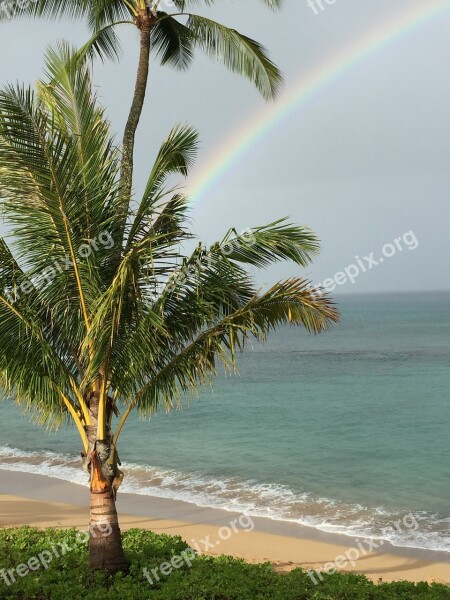 Hawaii Maui Rainbow Free Photos