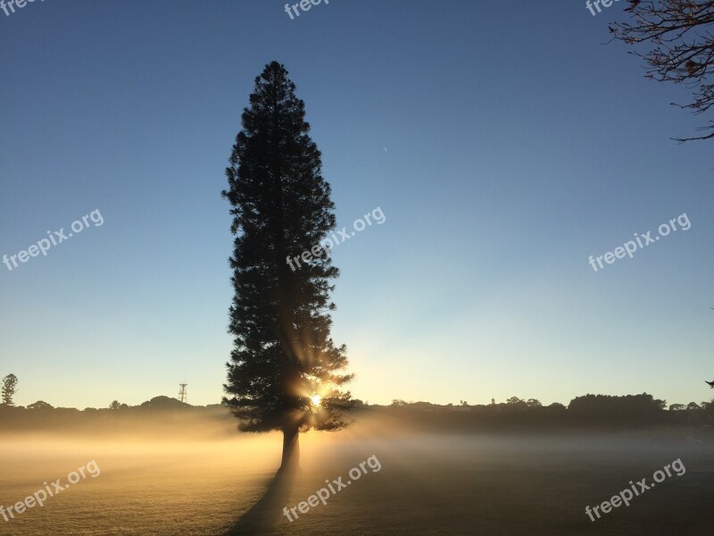 Nature Trees Parks Sun Sunrise