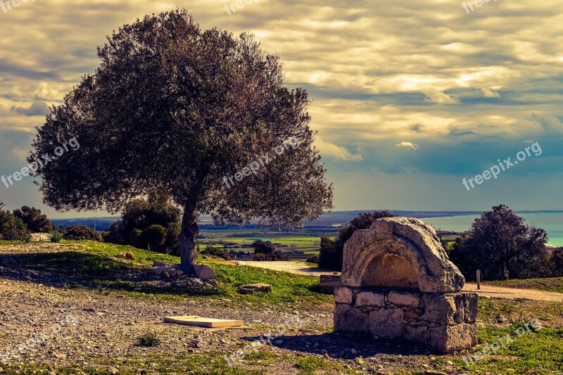 Fountain Ancient Stone Architecture Olive Tree