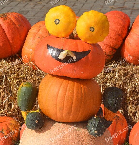 Decorative Pumpkins Autumn Decoration Autumn Free Photos