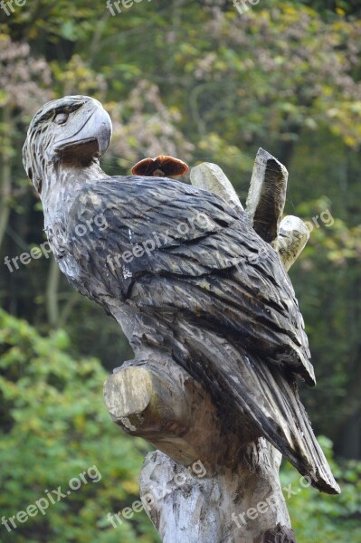 Carve Wood Bird Mushroom Craft