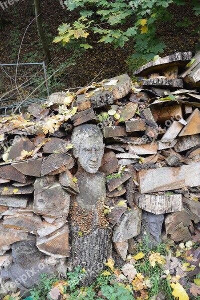 Wood Carvings Autumn Forest Nature