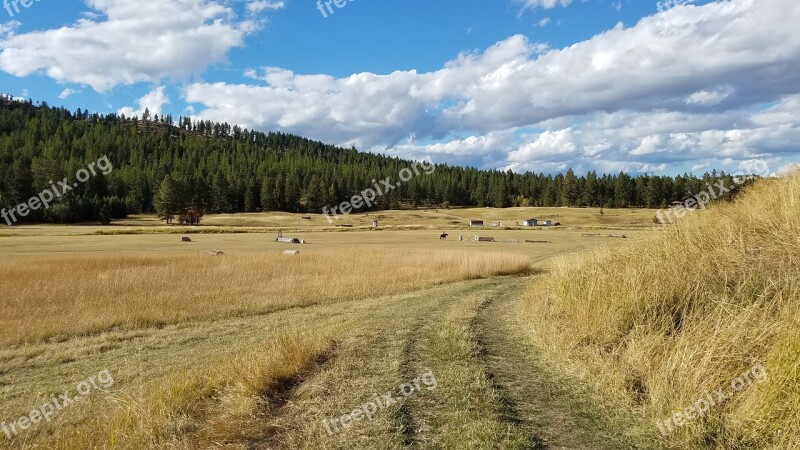 Montana Field Nature Mountain Landscape