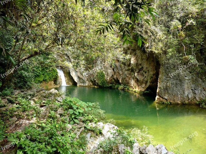 Topes De Collantes Cuba Caribbean Nature Forest