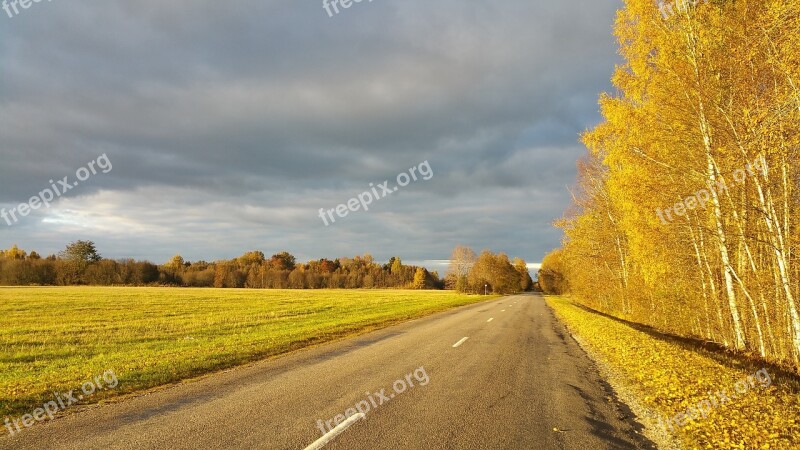 Fall Autumn Golden Road Season